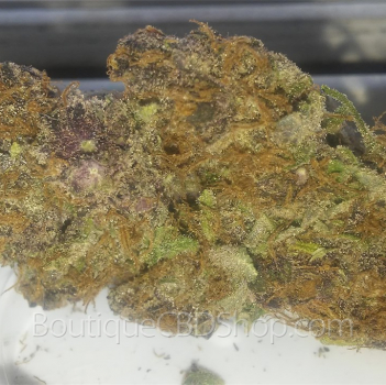 Fleur de cannabis light (CBD) d'une boutique & CBD shop à Spa