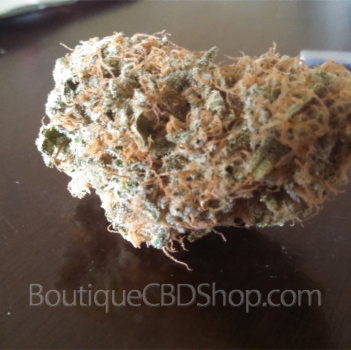 Fleur de cannabis light (CBD) d'une boutique & CBD shop à Burst