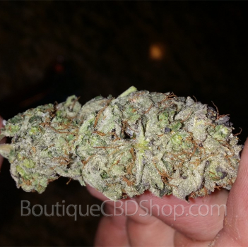Fleur de cannabis light (CBD) d'une boutique & CBD shop à Terwagne