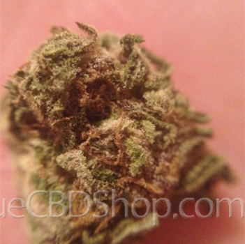 Fleur de cannabis light (CBD) d'une boutique & CBD shop à Onhaye