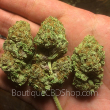 Fleur de cannabis light (CBD) d'une boutique & CBD shop à Vinalmont