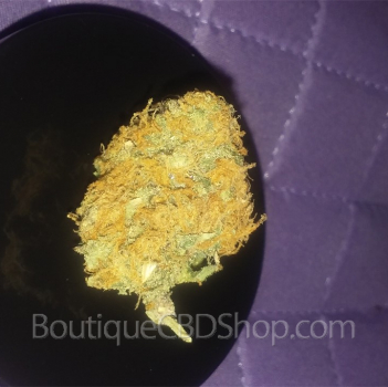 Fleur de cannabis light (CBD) d'une boutique & CBD shop à Hemiksem
