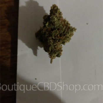 Fleur de cannabis light (CBD) d'une boutique & CBD shop à Biévène